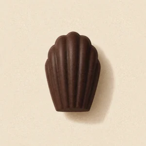 Végétale chocolat