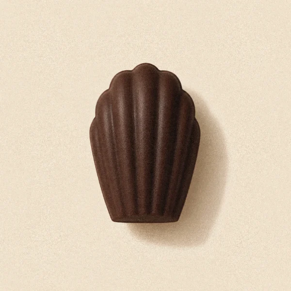 Madeleine chocolat noir